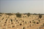 Al-Alamein cemetery,contains 7,240 Commonwealth burial of the 2nd world war .: by anomadforever, Views[357]