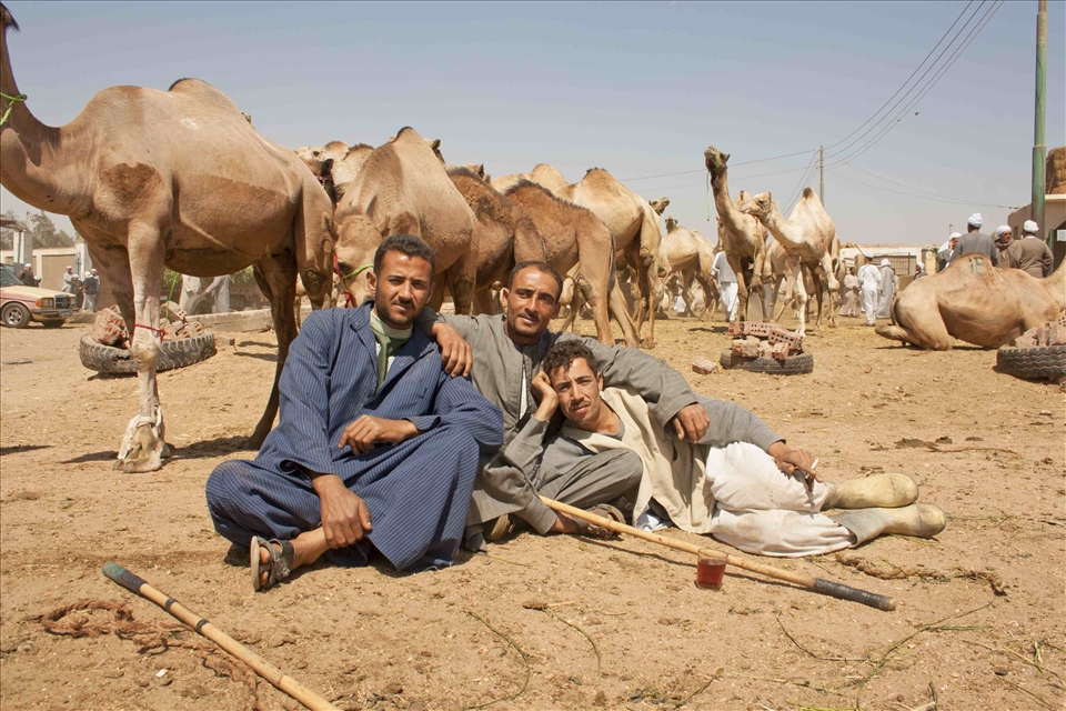 there people are used to photographers , they are even pose like a boss 