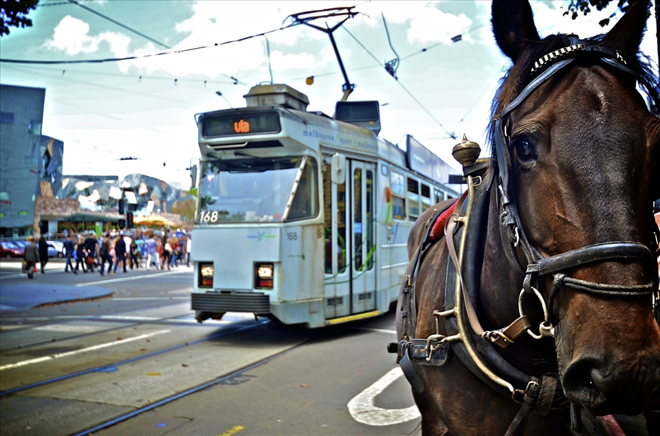 Melbourne Street Life