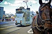 Melbourne Street Life: by anthonylamb, Views[672]