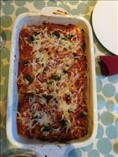 Whole dish of lasagne rolls : by antigonewillett, Views[292]