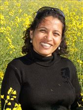 Mustard fields in Germany: by anuradhasarup, Views[257]