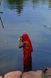 by anurag-bindal, Views[199]