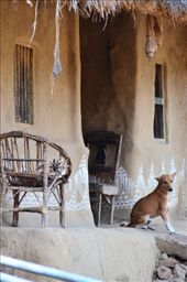 by anurag-bindal, Views[287]