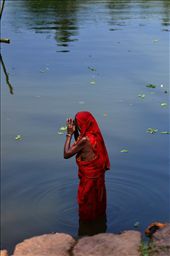 by anurag-bindal, Views[356]