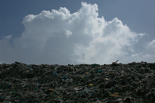 The fragile ecosystem is deeply hurt as poverty and violence increase 