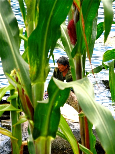 Due to the fact the Lake is formed by collapsed volcano, there is no supply of freshwater yet it is one of the deepest lakes in Central America. When a hurricane hit the area in 2005, it destroyed the sewerage system, and led to an outbreak of algae bloom in the lake. The daily laundry that takes place in the lake unfortunately continues to contribute to this algae bloom.
Having said this, I had never witnessed women as hardworking as the locals we met at the lake. From washing clothes at the break of dawn, to carrying huge loads on their heads, taking care of their children whilst selling their crops and products at markets, along with little medical care and primitive living conditions they survived. Each face spoke of a story of hardship, yet we were greeted everywhere we went with open arms, a smile and friendliness.