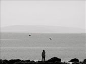by aoifekk, Views[199]
