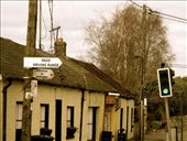 by aoifekk, Views[214]