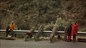 Sotho children selling wood by the rail of the A1, over the Moteng Pass.: by apnews, Views[380]