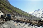 We fight over it: Kargil - One of the highest militarized zones in the world and the site for the most bloody conflict in recent times; took this whilst an unending army convoy was going past us, but even they had to stop to let the sheep pass through!: by apoorv, Views[519]