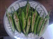 Chilies filled with mirchi masala: by appetite-stories, Views[619]