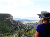 by apriljoy, Views[234]