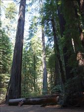 by apriljoy, Views[284]