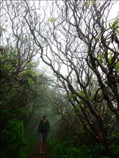 by apriljoy, Views[284]