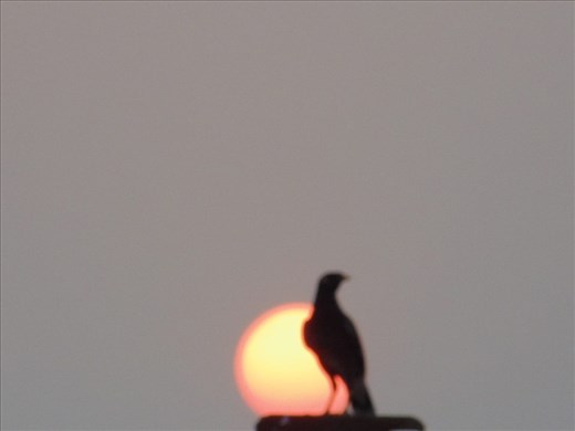 an unexpected click by me one fine evening