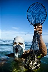 Catch?: by arch, Views[369]