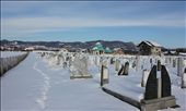 Martyr cemetery, hosting recovered bodies from mass graves around Kozarac.: by archer, Views[740]