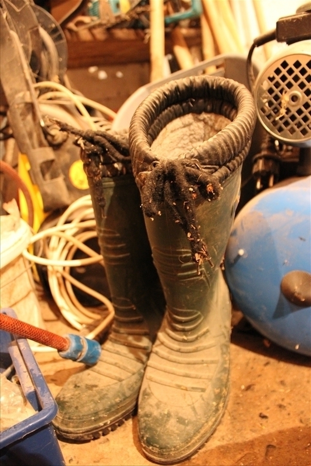 Grandfather's farming boots.