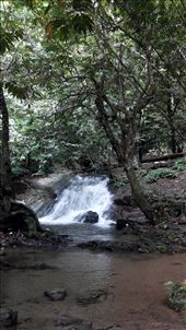 by archeraj, Views[142]