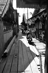 by archi_adventurer_25, Views[197]