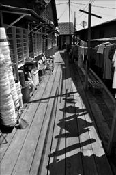 by archi_adventurer_25, Views[121]