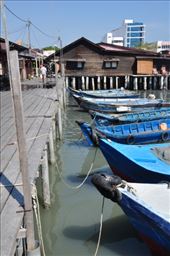 by archi_adventurer_25, Views[116]