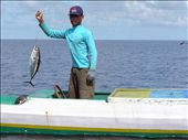 I got the bait. One-line fishing method to catch the fish is the best way for Ba: by archipelago, Views[978]
