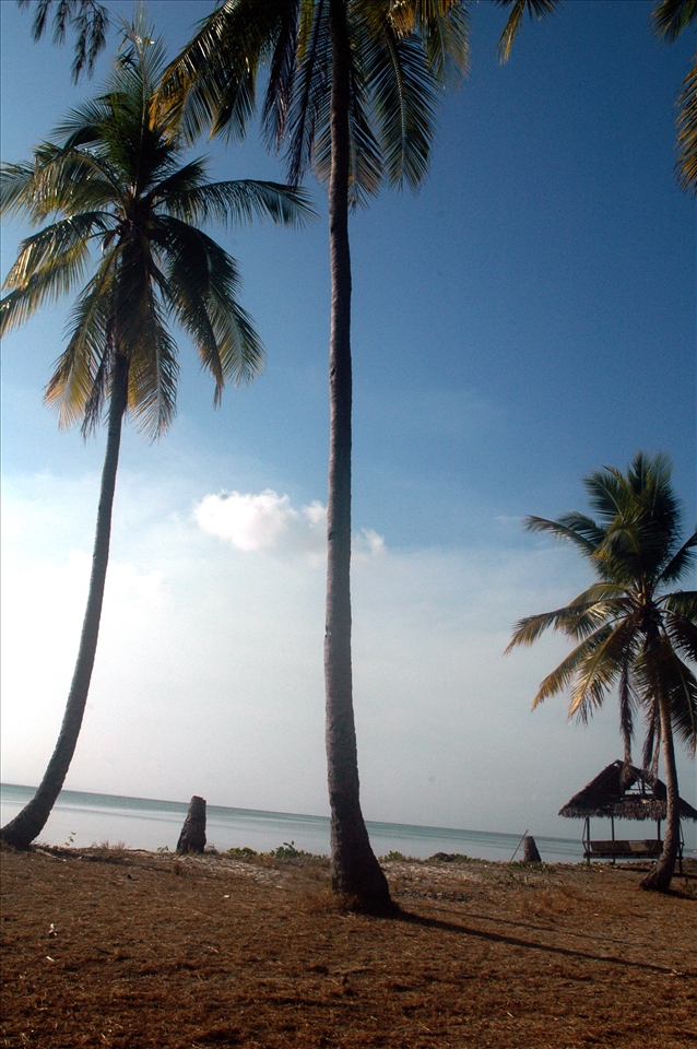 Relax and feel the breeze. One view of sandy beach in Hoga Isle, Wakatobi archip