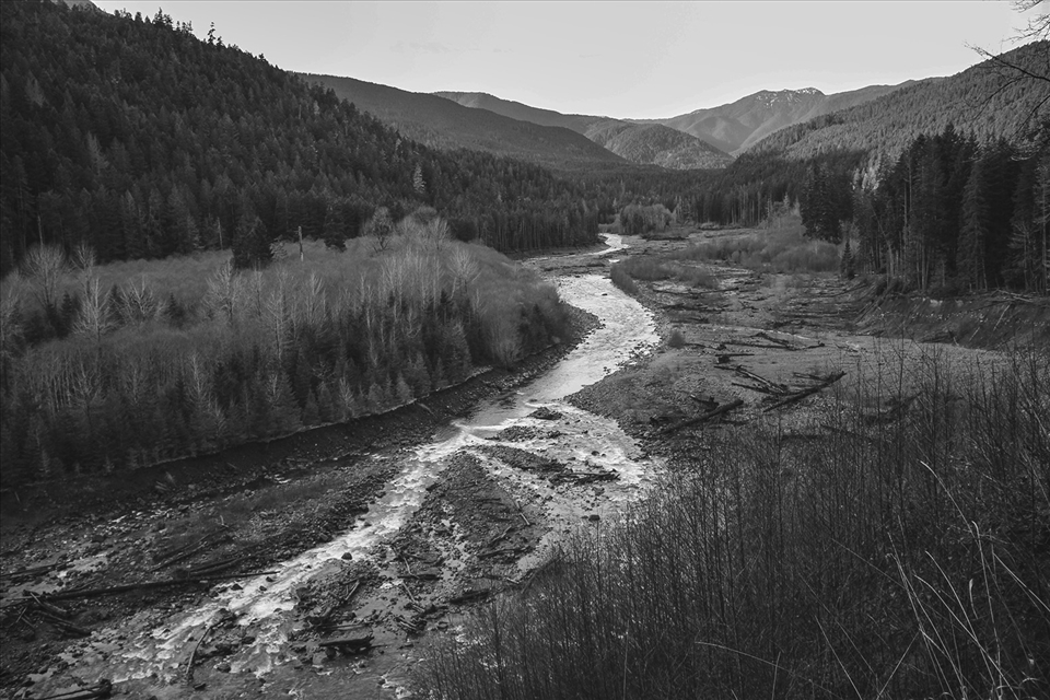 In September 2011 the Elwah River began reclaiming its natural valley after the removal of two hydroelectric dams. The conditions in this image, what used to be Lake Mills, haven’t been seen in over a century.
