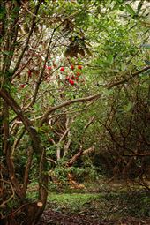 by archwilio, Views[255]