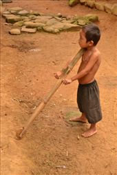 by ardihardiansyah, Views[217]