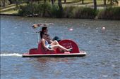 A family having their peacfull waterride on the lake of Adelaide Festival Center. A nice place for families to spend their day.: by arefin, Views[425]