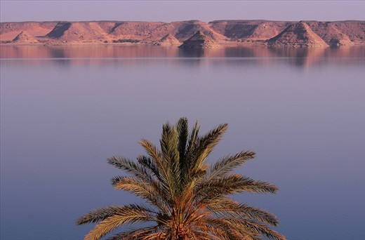 Lake Nasser : Desolate Contradiction
