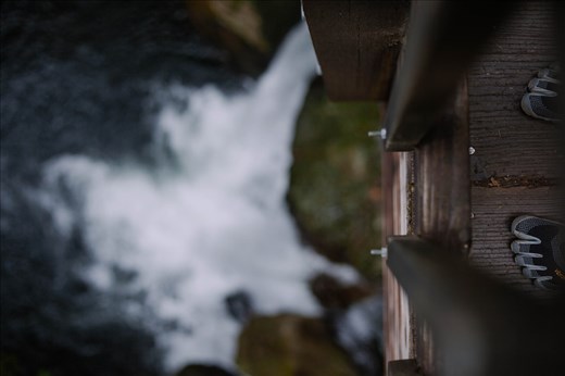 Underfoot the flow of nature persists.