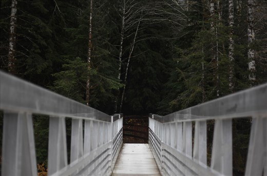 In the light, awaits further adventures. 