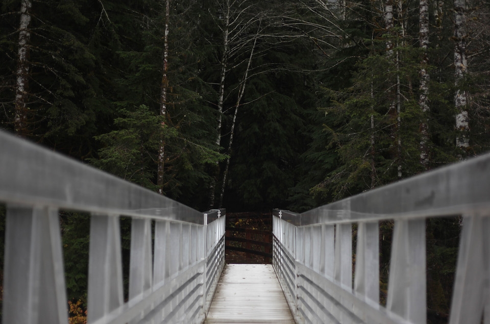 In the light, awaits further adventures. 