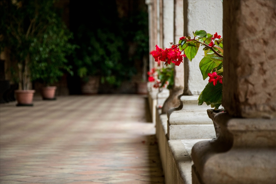 In the cloister of a church. 
