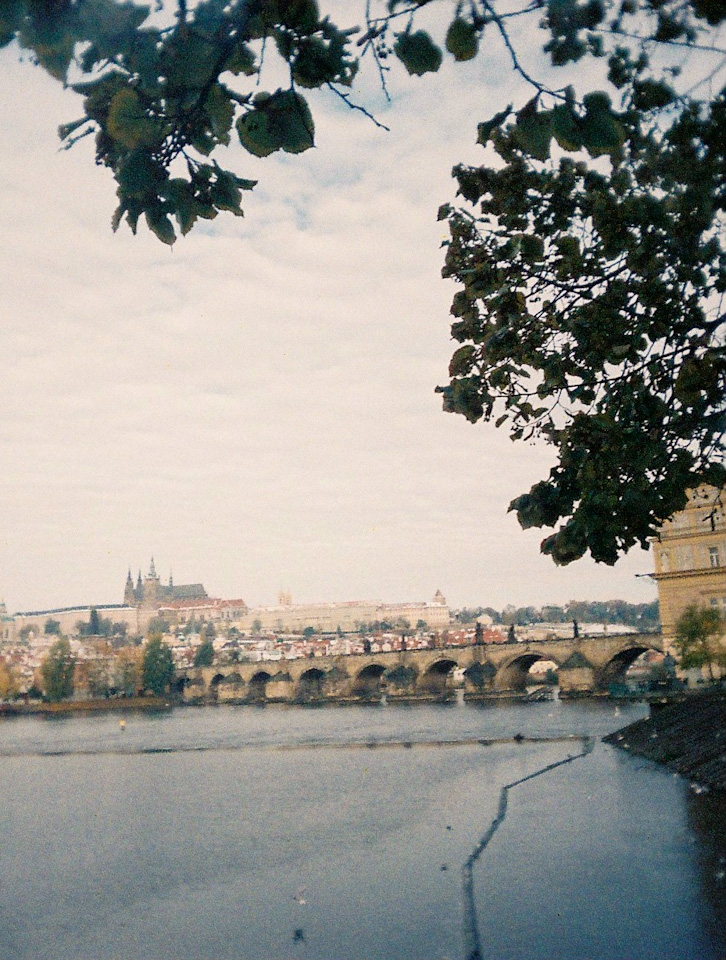 Today, we walked our favorite city.