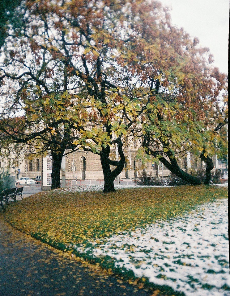 We passed by the park, where we met love.