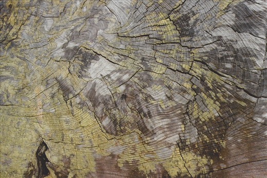 Now we can only hope to age as beautifully and wisely as nature around us has.