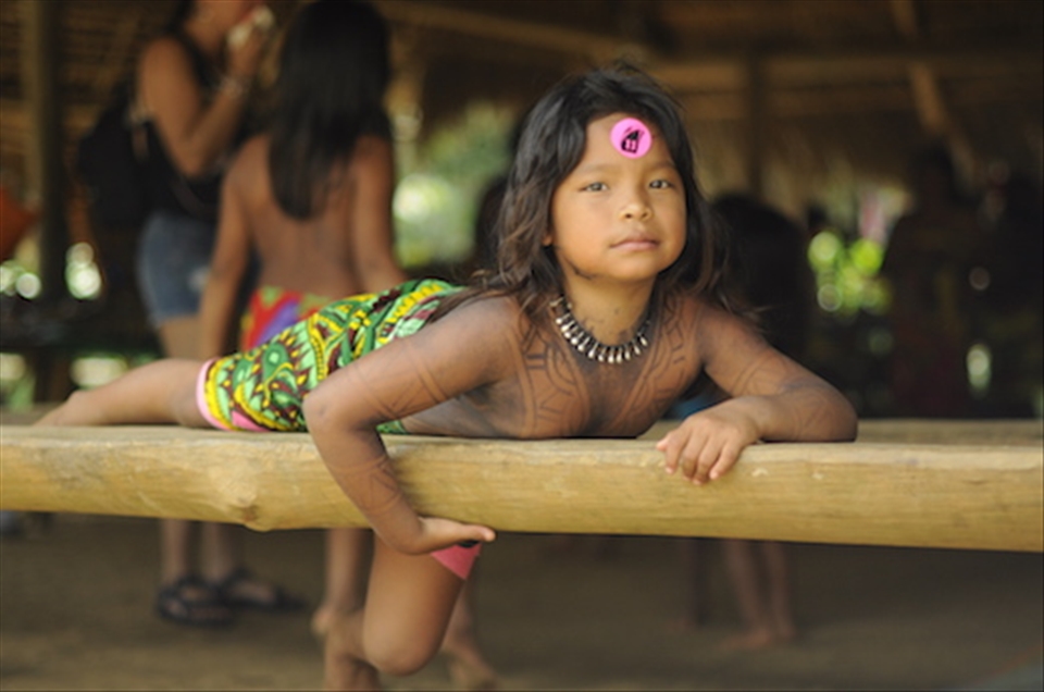 Cultures Colliding, 2012. 