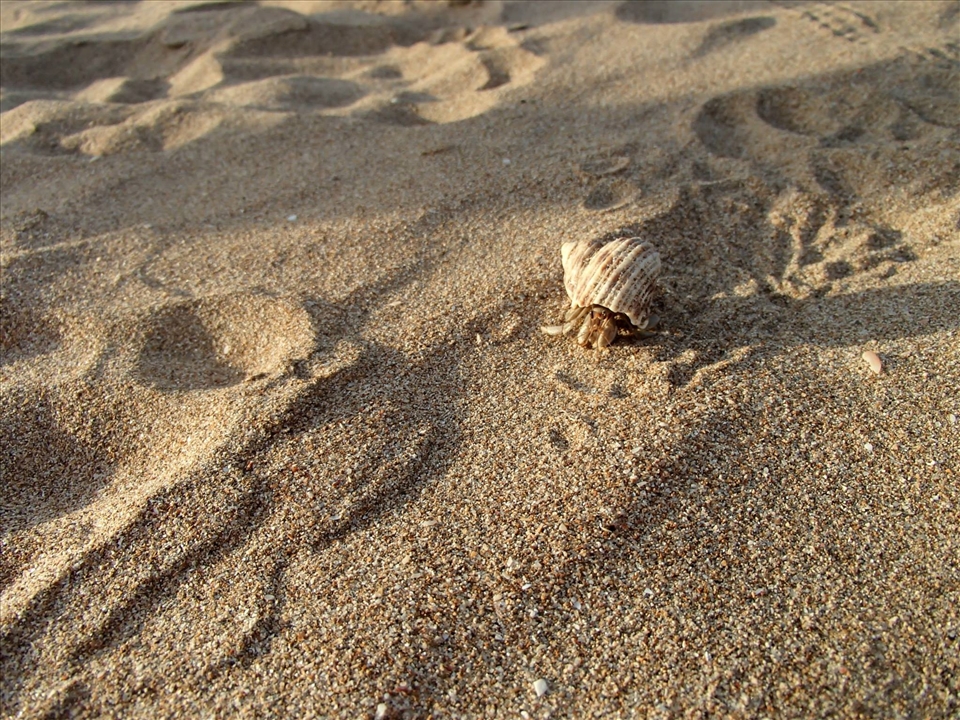 Fanny Bay, Darwin - Australia