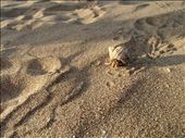Fanny Bay, Darwin - Australia: by arika-mae, Views[310]