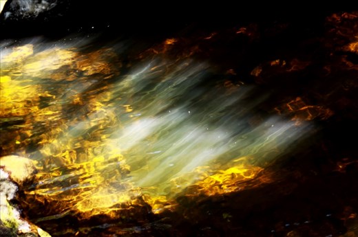 On a hike in the rainforest we saw the light creating ribbons in this waterhole it conjured all kinds of stories in my mind of healing waters