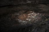 This is a traditional Aboriginal cave painting at Injalak Hill, 5kms west of Gunbalanya in Arnhem Land, NT. Painted with white and red ochre this painting is believed to be over 10,000 years old. Hand stencils are very common in Aboriginal rock painting, this particular one is considered very rare due to the detail added into what would normally be negative space.: by arnhemland, Views[1145]