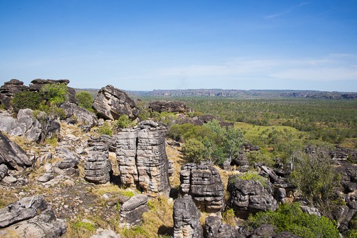 Once surrounded by ancient seas, the iconic Arnhem Land escarpment or “stone country” is a great example of the relationship between Aboriginal people and the land. During the wet season this sandstone wall is transformed into a plentiful oasis, brimming with fish and birds to hunt. In the dry season, it’s shady caves and residual pools provide protection from the hot Australian sun.