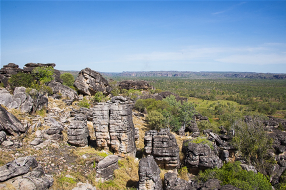 Once surrounded by ancient seas, the iconic Arnhem Land escarpment or “stone country” is a great example of the relationship between Aboriginal people and the land. During the wet season this sandstone wall is transformed into a plentiful oasis, brimming with fish and birds to hunt. In the dry season, it’s shady caves and residual pools provide protection from the hot Australian sun.