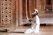 A man prays in a mosque by the shrine of a Sufi saint in Fatehpur-SIkhri. : by arpanbhandari, Views[558]