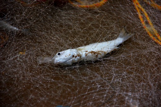 The Prize of hard work